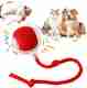 decorvaiz Interactive Cat Ball Toy, New Automatic Premium Smart